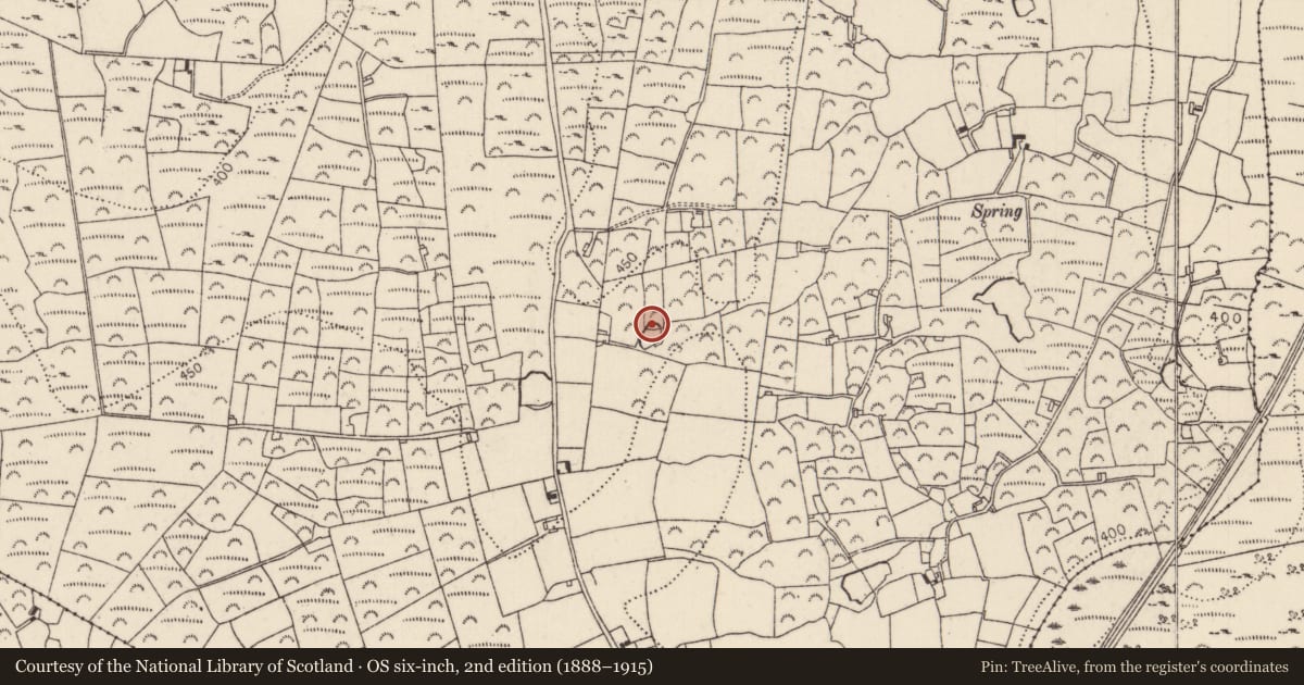 Ordnance Survey six-inch map, 2nd edition (1888–1915) covering the location of Fulacht fia, Kilkeasy, County Kilkenny, with a pin at the register's coordinates