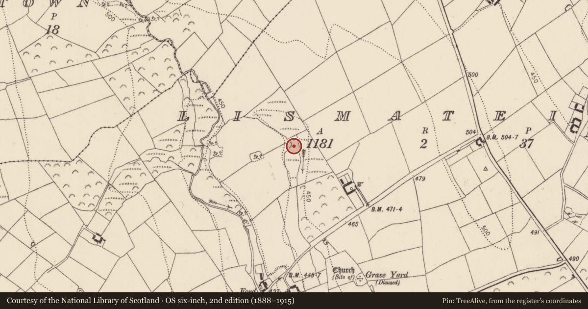 Ordnance Survey six-inch map, 2nd edition (1888–1915) covering the location of Fulacht fia, Lismateige, County Kilkenny, with a pin at the register's coordinates