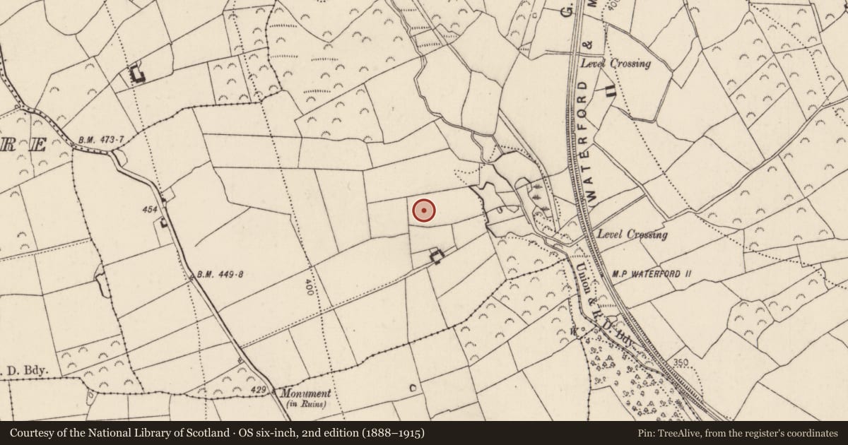 Ordnance Survey six-inch map, 2nd edition (1888–1915) covering the location of Souterrain, Knockmoylan, County Kilkenny, with a pin at the register's coordinates