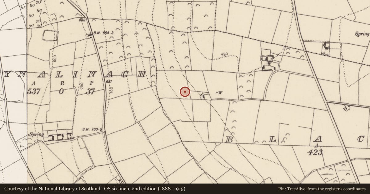 Ordnance Survey six-inch map, 2nd edition (1888–1915) covering the location of Standing stone, Blackbog, County Kilkenny, with a pin at the register's coordinates
