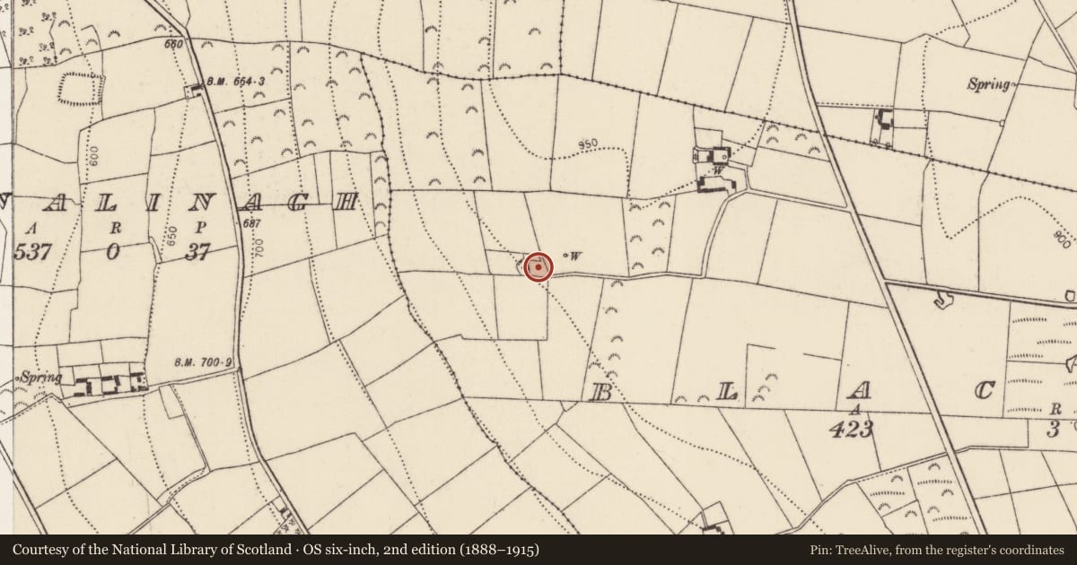 Ordnance Survey six-inch map, 2nd edition (1888–1915) covering the location of Standing stone (present location), Blackbog, County Kilkenny, with a pin at the register's coordinates