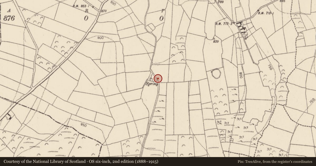 Ordnance Survey six-inch map, 2nd edition (1888–1915) covering the location of Megalithic tomb - wedge tomb, Boolyglass, County Kilkenny, with a pin at the register's coordinates