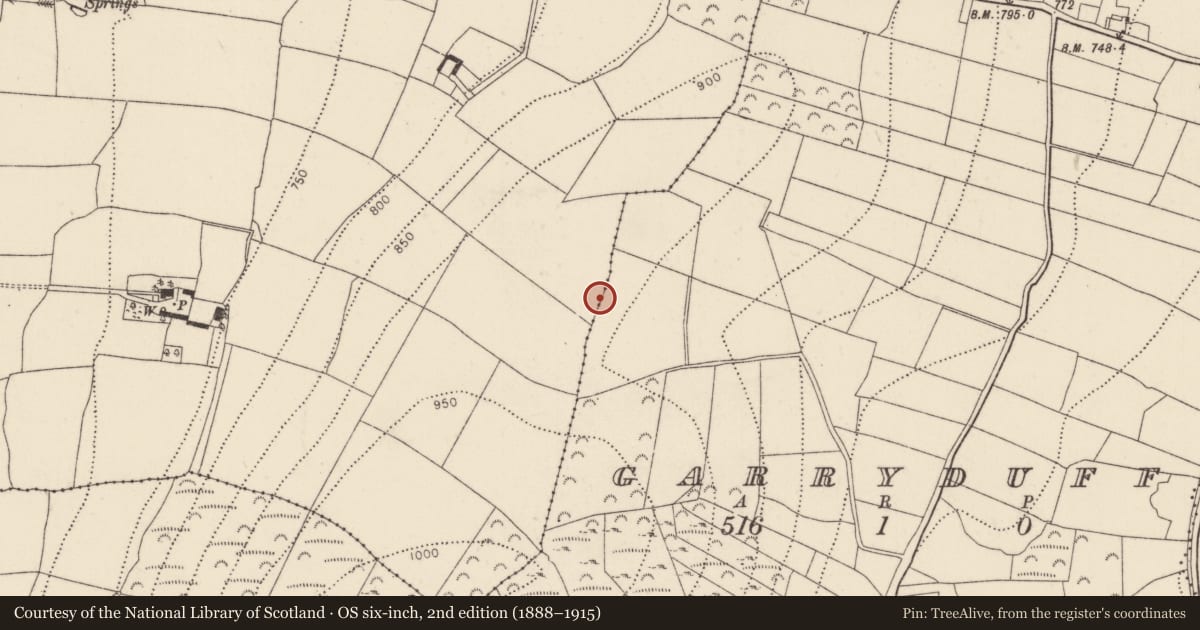 Ordnance Survey six-inch map, 2nd edition (1888–1915) covering the location of Megalithic tomb - wedge tomb, Garryduff, County Kilkenny, with a pin at the register's coordinates