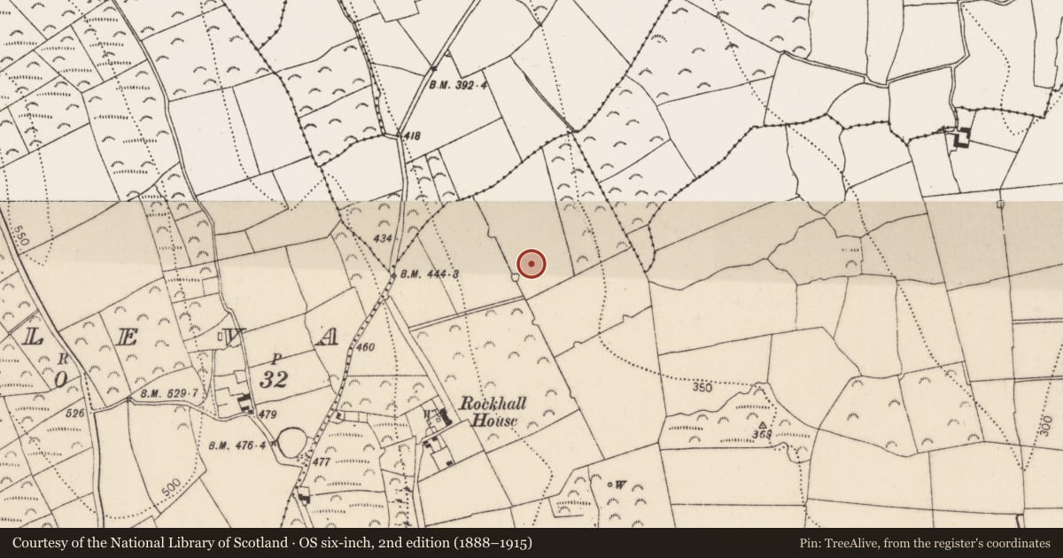 Ordnance Survey six-inch map, 2nd edition (1888–1915) covering the location of House - Neolithic, Kilkeasy, County Kilkenny, with a pin at the register's coordinates