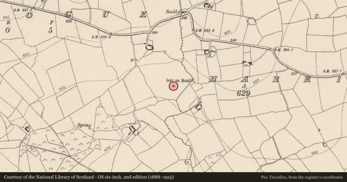 Ordnance Survey six-inch map, 2nd edition (1888–1915) covering the location of Standing stone, Kilmogue, County Kilkenny, with a pin at the register's coordinates
