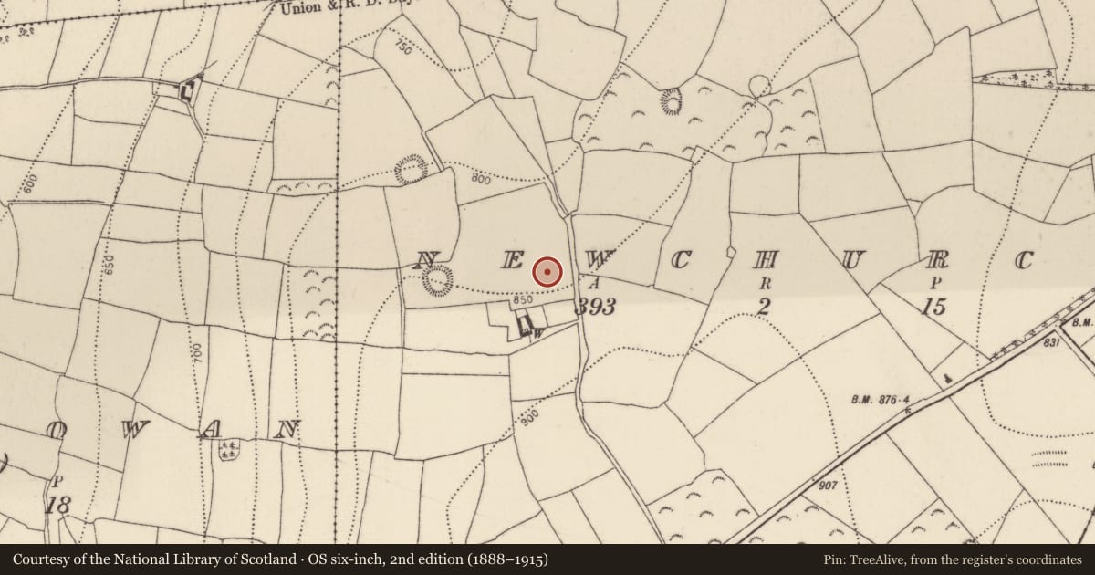 Ordnance Survey six-inch map, 2nd edition (1888–1915) covering the location of Settlement cluster, Newchurch, County Kilkenny, with a pin at the register's coordinates