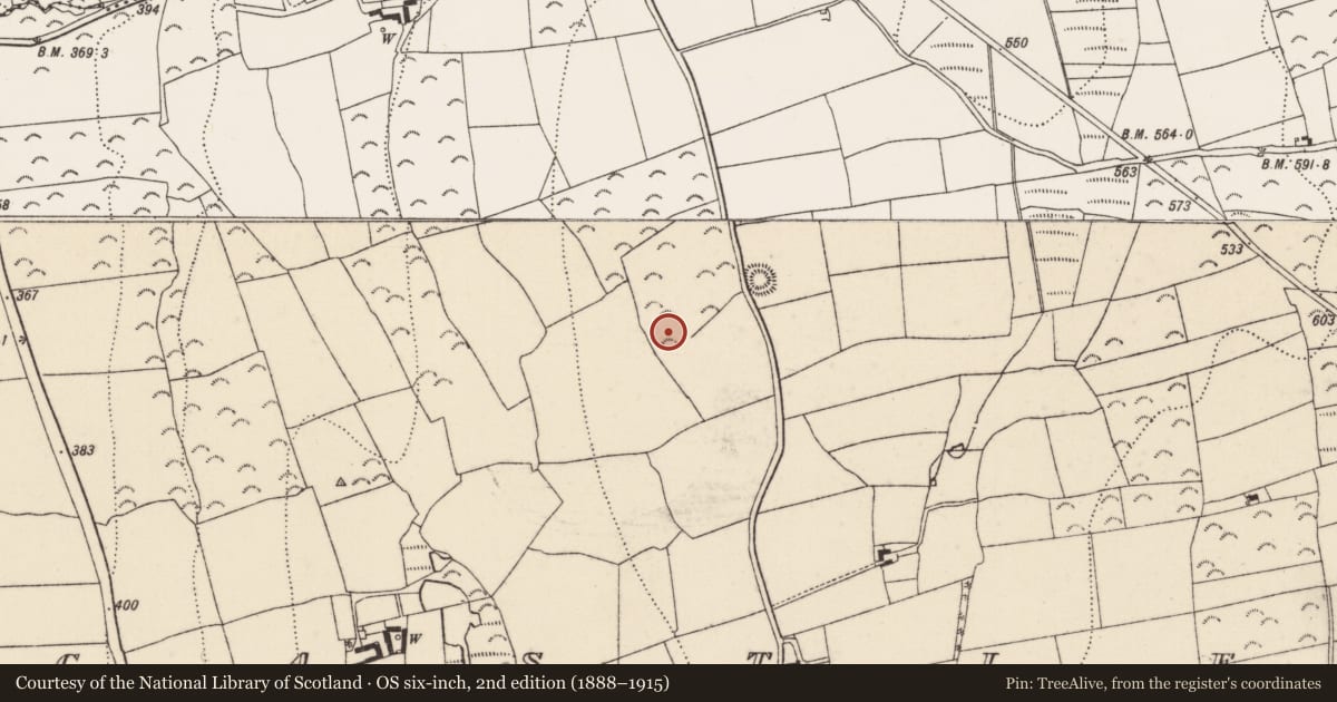 Ordnance Survey six-inch map, 2nd edition (1888–1915) covering the location of Enclosure, Castlebanny, County Kilkenny, with a pin at the register's coordinates