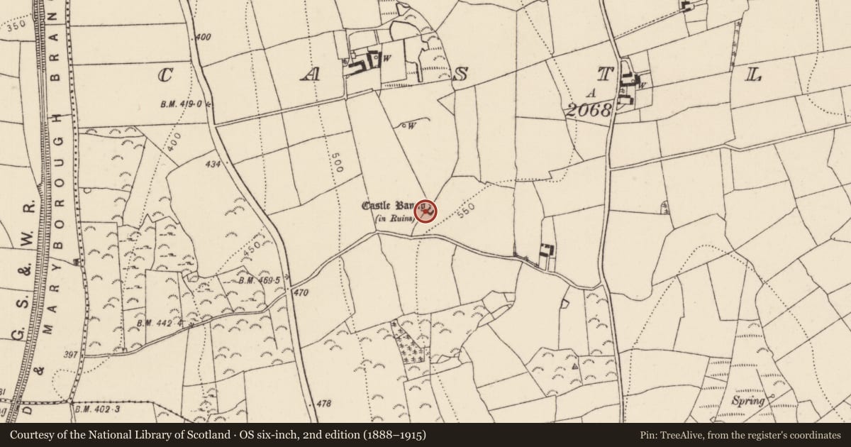 Ordnance Survey six-inch map, 2nd edition (1888–1915) covering the location of Castle - unclassified, Castlebanny, County Kilkenny, with a pin at the register's coordinates