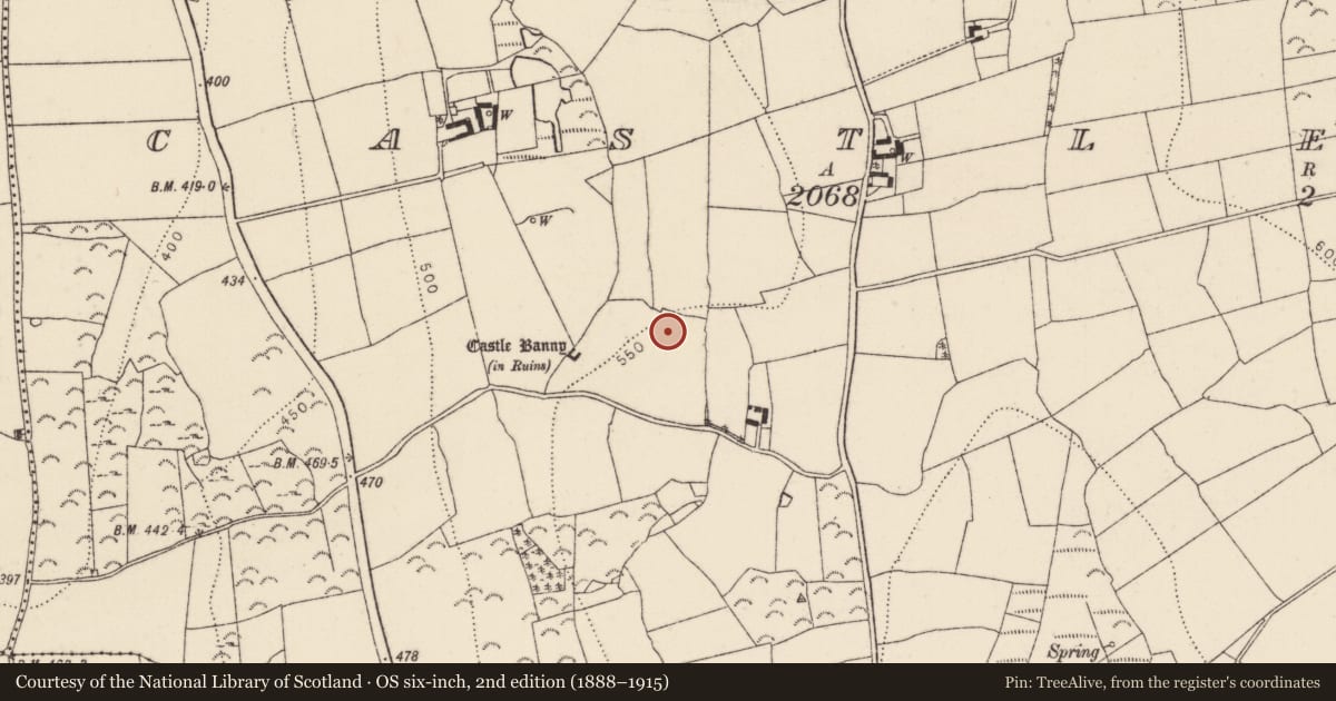 Ordnance Survey six-inch map, 2nd edition (1888–1915) covering the location of Ringfort - rath, Castlebanny, County Kilkenny, with a pin at the register's coordinates