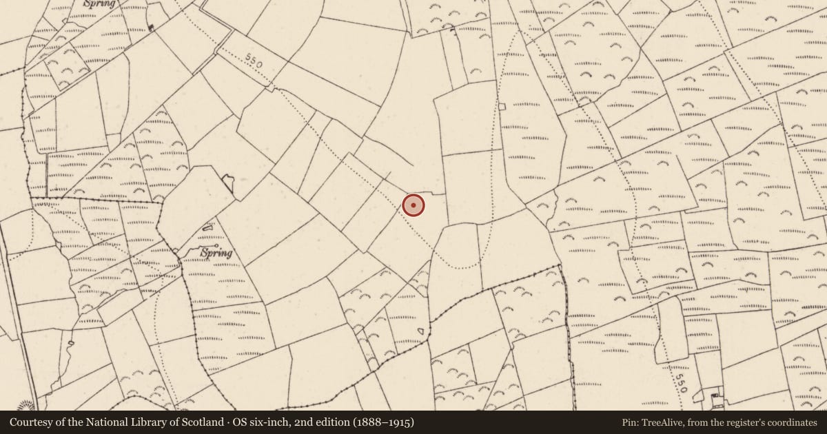 Ordnance Survey six-inch map, 2nd edition (1888–1915) covering the location of Moated site, Castlebanny, County Kilkenny, with a pin at the register's coordinates