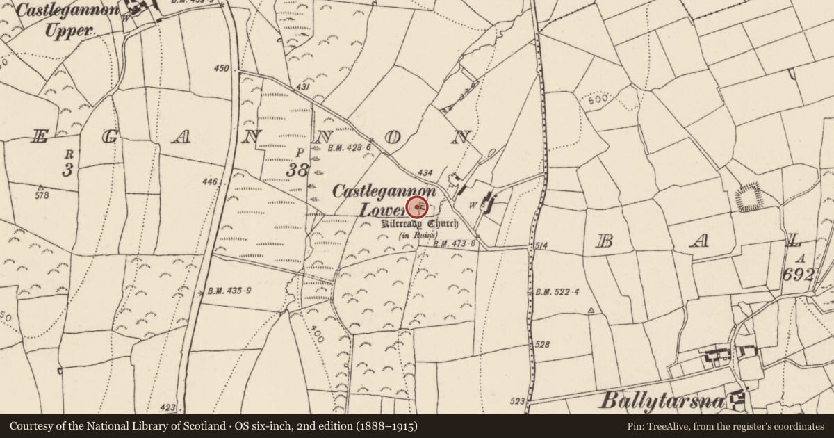 Ordnance Survey six-inch map, 2nd edition (1888–1915) covering the location of Church, Castlegannon, County Kilkenny, with a pin at the register's coordinates