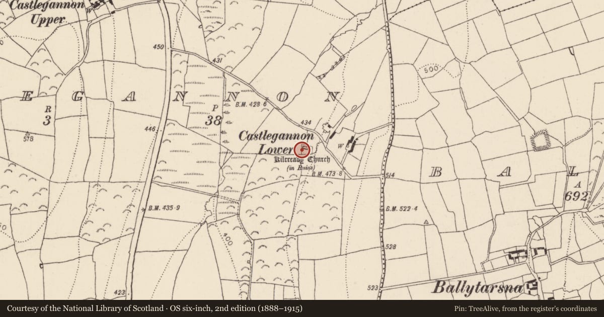 Ordnance Survey six-inch map, 2nd edition (1888–1915) covering the location of Graveyard, Castlegannon, County Kilkenny, with a pin at the register's coordinates