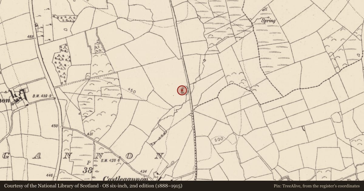 Ordnance Survey six-inch map, 2nd edition (1888–1915) covering the location of Ringfort - rath, Castlegannon, County Kilkenny, with a pin at the register's coordinates