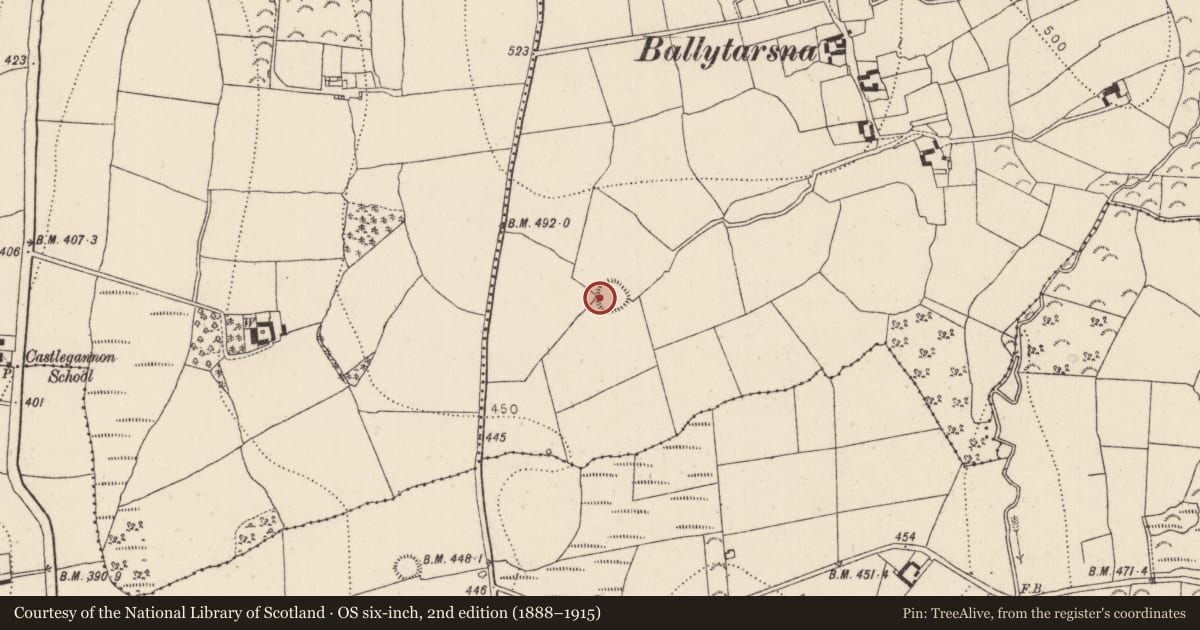 Ordnance Survey six-inch map, 2nd edition (1888–1915) covering the location of Ringfort - rath, Ballytarsna, County Kilkenny, with a pin at the register's coordinates