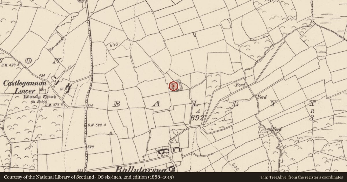 Ordnance Survey six-inch map, 2nd edition (1888–1915) covering the location of Moated site, Ballytarsna, County Kilkenny, with a pin at the register's coordinates
