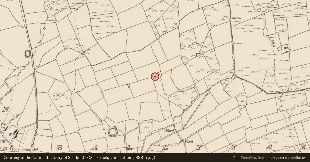 Ordnance Survey six-inch map, 2nd edition (1888–1915) covering the location of Moated site, Ballytarsna, County Kilkenny, with a pin at the register's coordinates