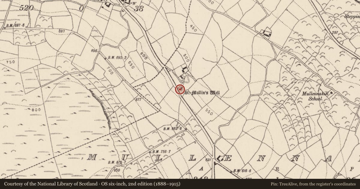 Ordnance Survey six-inch map, 2nd edition (1888–1915) covering the location of Ritual site - holy well, Mullennakill, County Kilkenny, with a pin at the register's coordinates