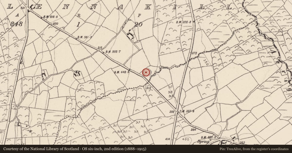 Ordnance Survey six-inch map, 2nd edition (1888–1915) covering the location of Ringfort - rath, Mullennakill, County Kilkenny, with a pin at the register's coordinates