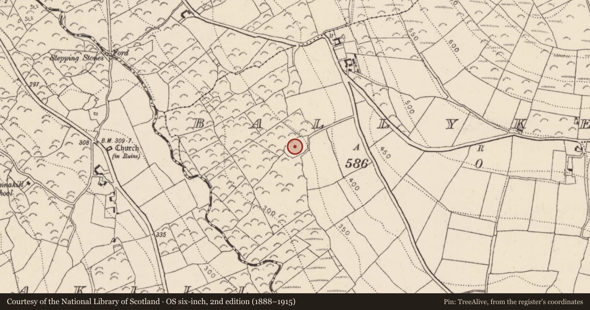 Ordnance Survey six-inch map, 2nd edition (1888–1915) covering the location of Enclosure, Ballykenna, County Kilkenny, with a pin at the register's coordinates