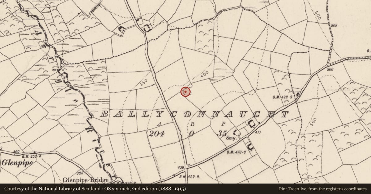 Ordnance Survey six-inch map, 2nd edition (1888–1915) covering the location of Ringfort - rath, Ballyconnaught, County Kilkenny, with a pin at the register's coordinates
