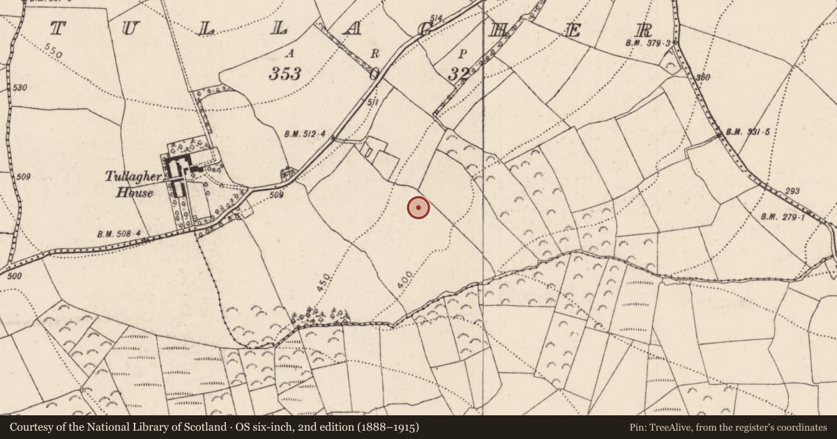 Ordnance Survey six-inch map, 2nd edition (1888–1915) covering the location of Fulacht fia, Tullagher, County Kilkenny, with a pin at the register's coordinates