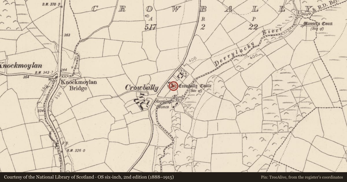 Ordnance Survey six-inch map, 2nd edition (1888–1915) covering the location of Castle - unclassified, Crowbally, County Kilkenny, with a pin at the register's coordinates