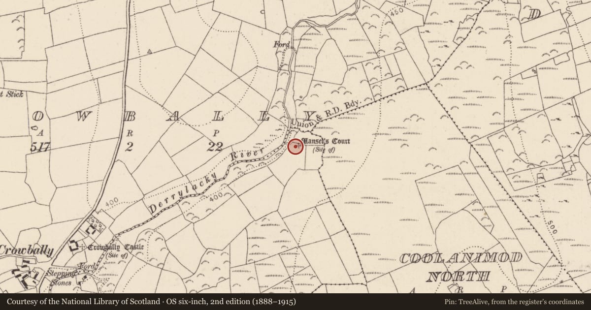 Ordnance Survey six-inch map, 2nd edition (1888–1915) covering the location of Castle - unclassified, Manselscourt, County Kilkenny, with a pin at the register's coordinates