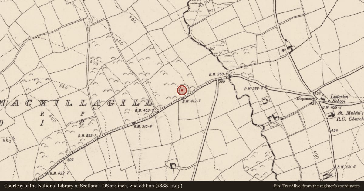 Ordnance Survey six-inch map, 2nd edition (1888–1915) covering the location of Ringfort - rath, Ballymackillagill, County Kilkenny, with a pin at the register's coordinates
