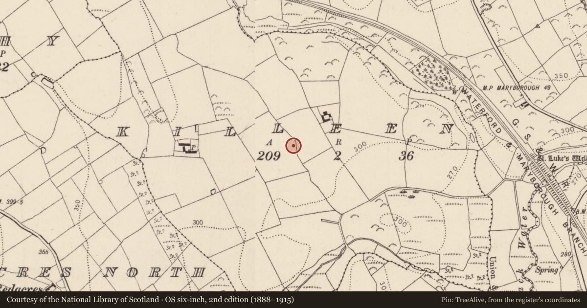 Ordnance Survey six-inch map, 2nd edition (1888–1915) covering the location of Earthwork, Killeen, County Kilkenny, with a pin at the register's coordinates