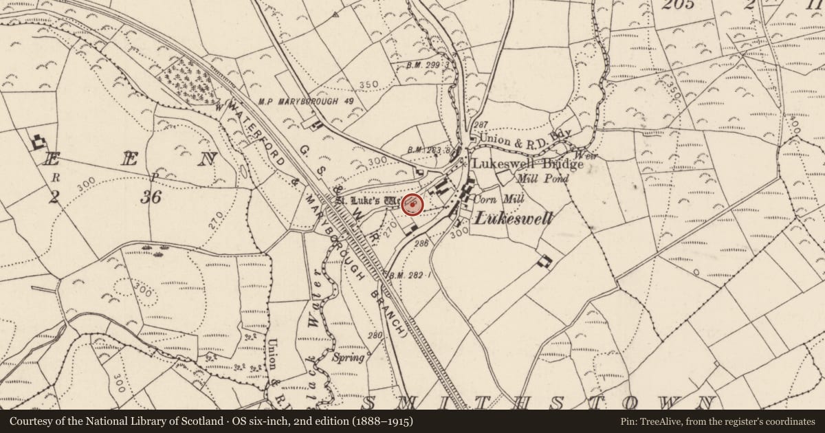 Ordnance Survey six-inch map, 2nd edition (1888–1915) covering the location of Ritual site - holy well, Knockmoylan, County Kilkenny, with a pin at the register's coordinates