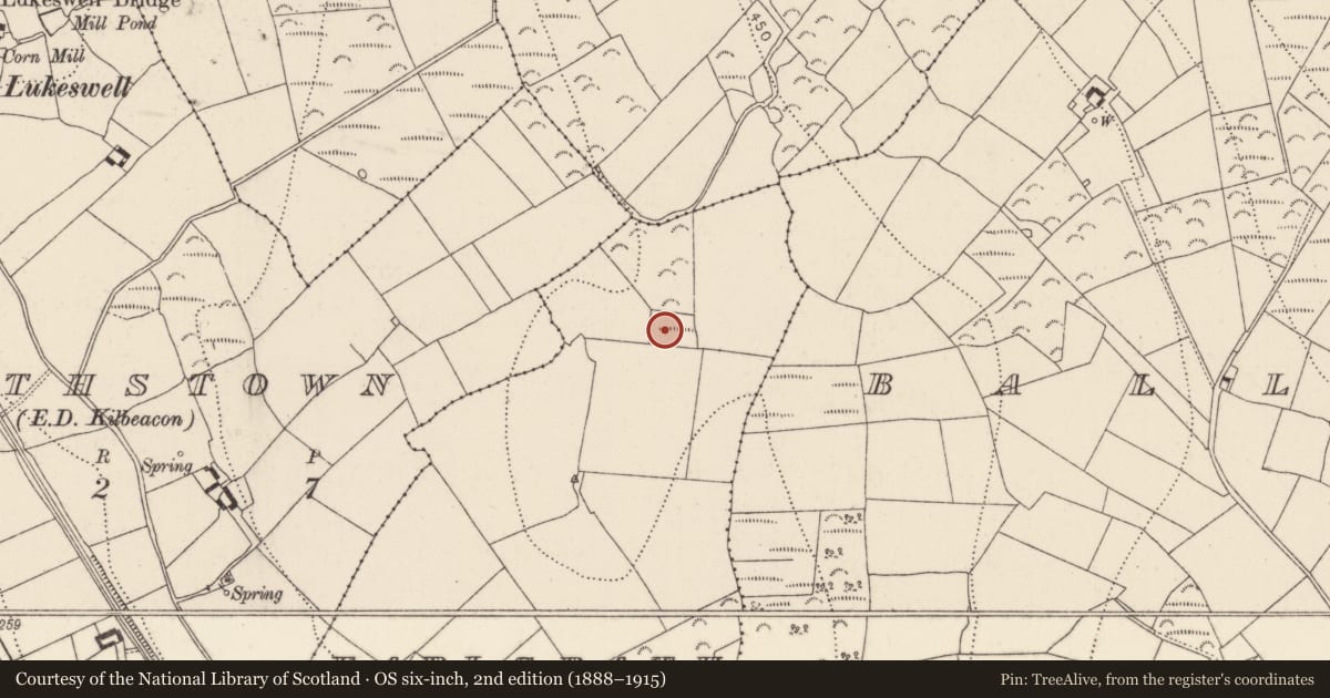 Ordnance Survey six-inch map, 2nd edition (1888–1915) covering the location of Moated site, Earlsrath, County Kilkenny, with a pin at the register's coordinates