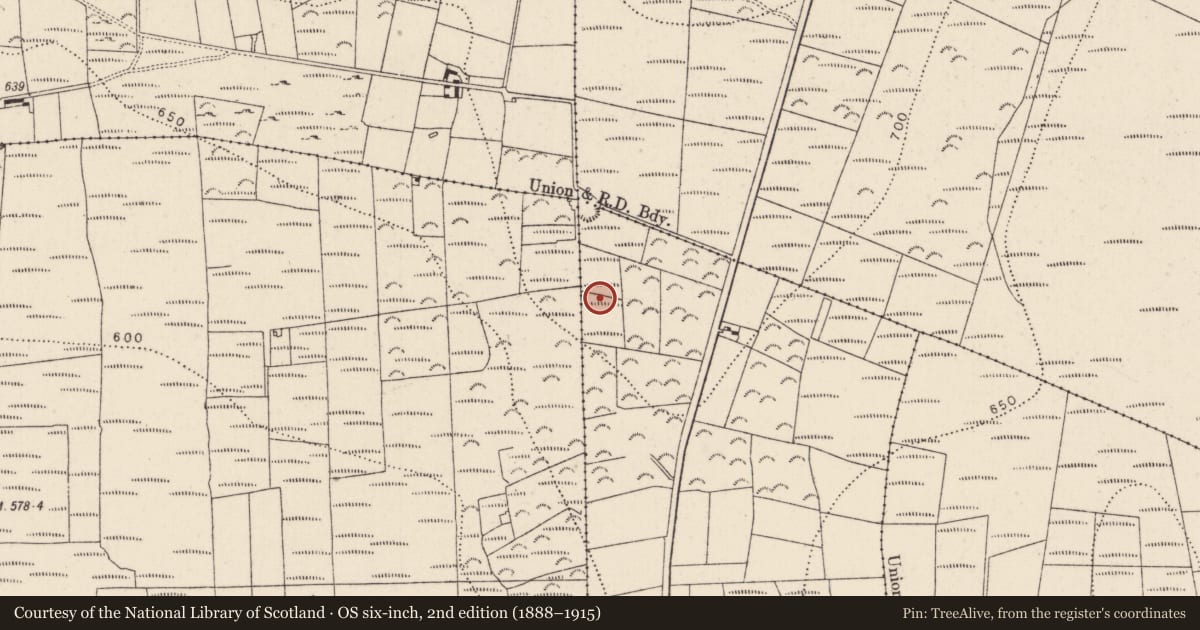 Ordnance Survey six-inch map, 2nd edition (1888–1915) covering the location of Enclosure, Ballynoony East, Ballynoony West, County Kilkenny, with a pin at the register's coordinates
