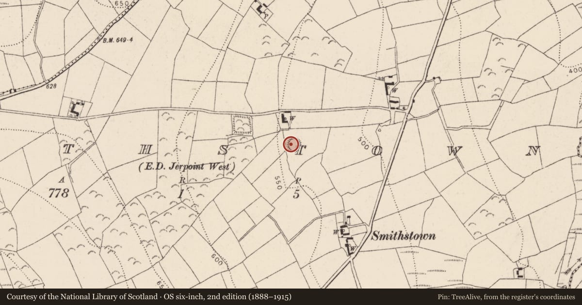 Ordnance Survey six-inch map, 2nd edition (1888–1915) covering the location of Ringfort - unclassified, Smithstown, County Kilkenny, with a pin at the register's coordinates