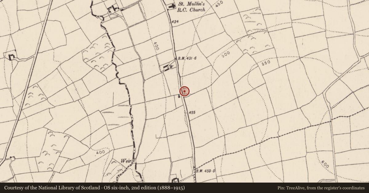 Ordnance Survey six-inch map, 2nd edition (1888–1915) covering the location of Moated site, Listerlin, County Kilkenny, with a pin at the register's coordinates