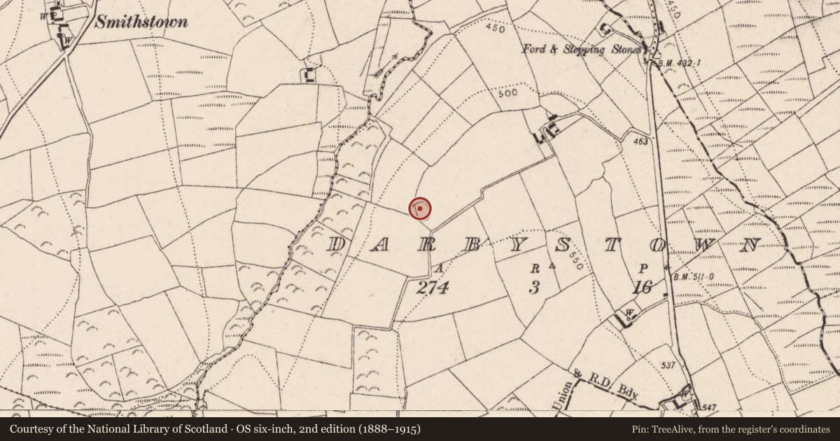 Ordnance Survey six-inch map, 2nd edition (1888–1915) covering the location of Ringfort - rath, Darbystown, County Kilkenny, with a pin at the register's coordinates