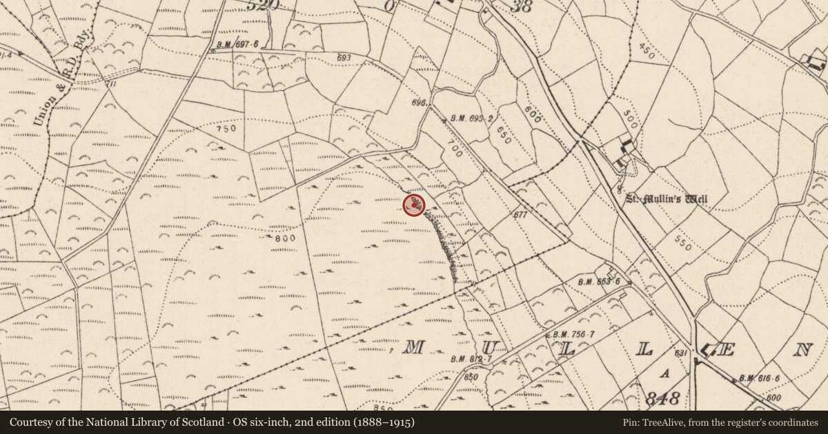 Ordnance Survey six-inch map, 2nd edition (1888–1915) covering the location of Structure, Coolnahau, County Kilkenny, with a pin at the register's coordinates
