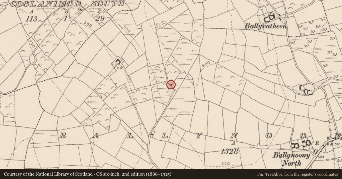 Ordnance Survey six-inch map, 2nd edition (1888–1915) covering the location of Megalithic tomb - wedge tomb, Ballynoony West, County Kilkenny, with a pin at the register's coordinates