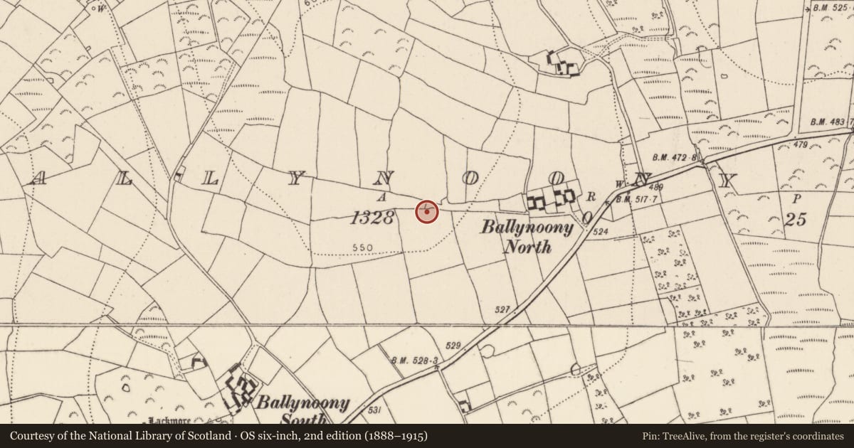 Ordnance Survey six-inch map, 2nd edition (1888–1915) covering the location of Ringfort - rath, Ballynoony West, County Kilkenny, with a pin at the register's coordinates