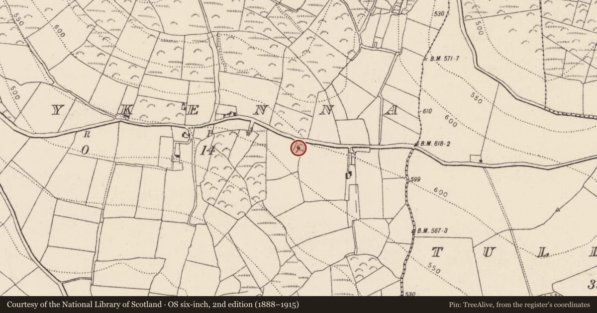Ordnance Survey six-inch map, 2nd edition (1888–1915) covering the location of Ringfort - unclassified, Ballykenna, County Kilkenny, with a pin at the register's coordinates