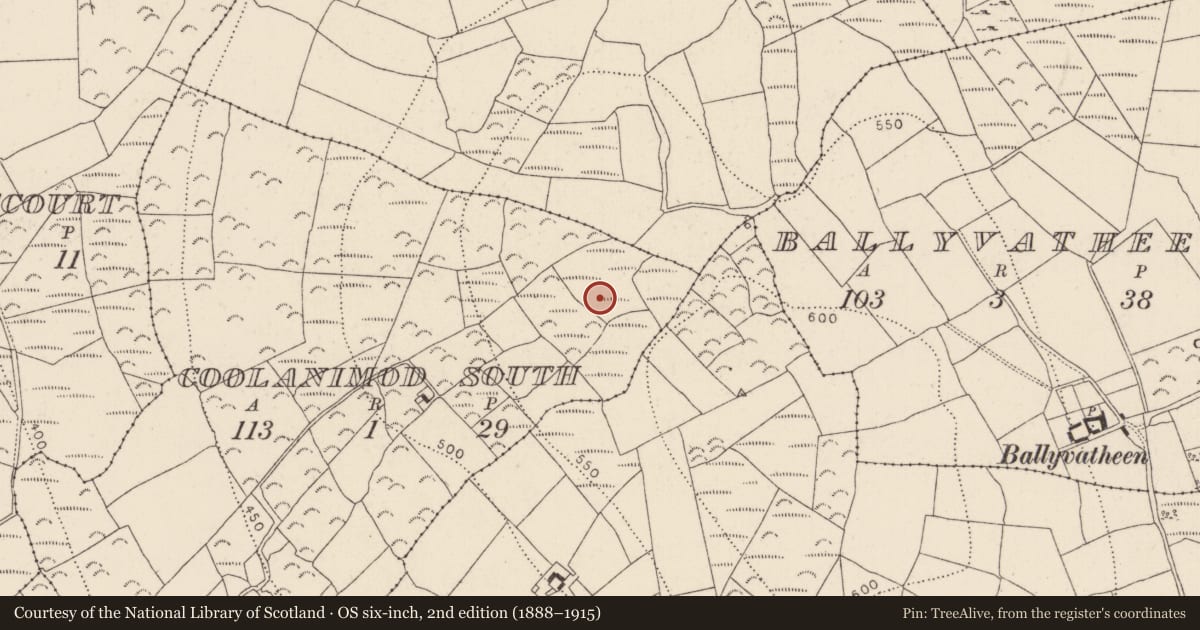 Ordnance Survey six-inch map, 2nd edition (1888–1915) covering the location of Fulacht fia, Coolanimod South, County Kilkenny, with a pin at the register's coordinates
