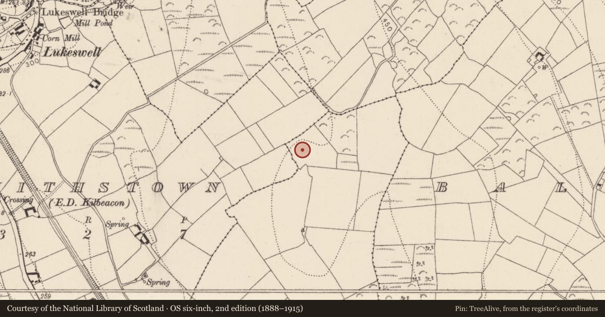 Ordnance Survey six-inch map, 2nd edition (1888–1915) covering the location of Midden, Earlsrath, Manselscourt, County Kilkenny, with a pin at the register's coordinates