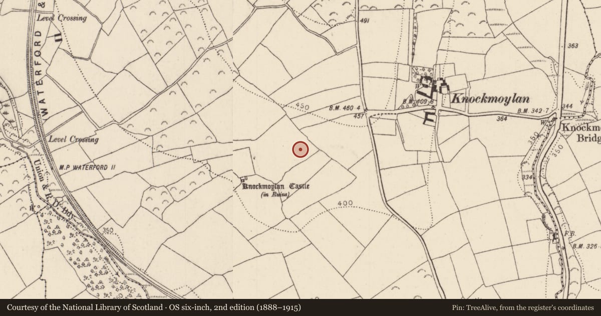 Ordnance Survey six-inch map, 2nd edition (1888–1915) covering the location of Field system, Knockmoylan, County Kilkenny, with a pin at the register's coordinates