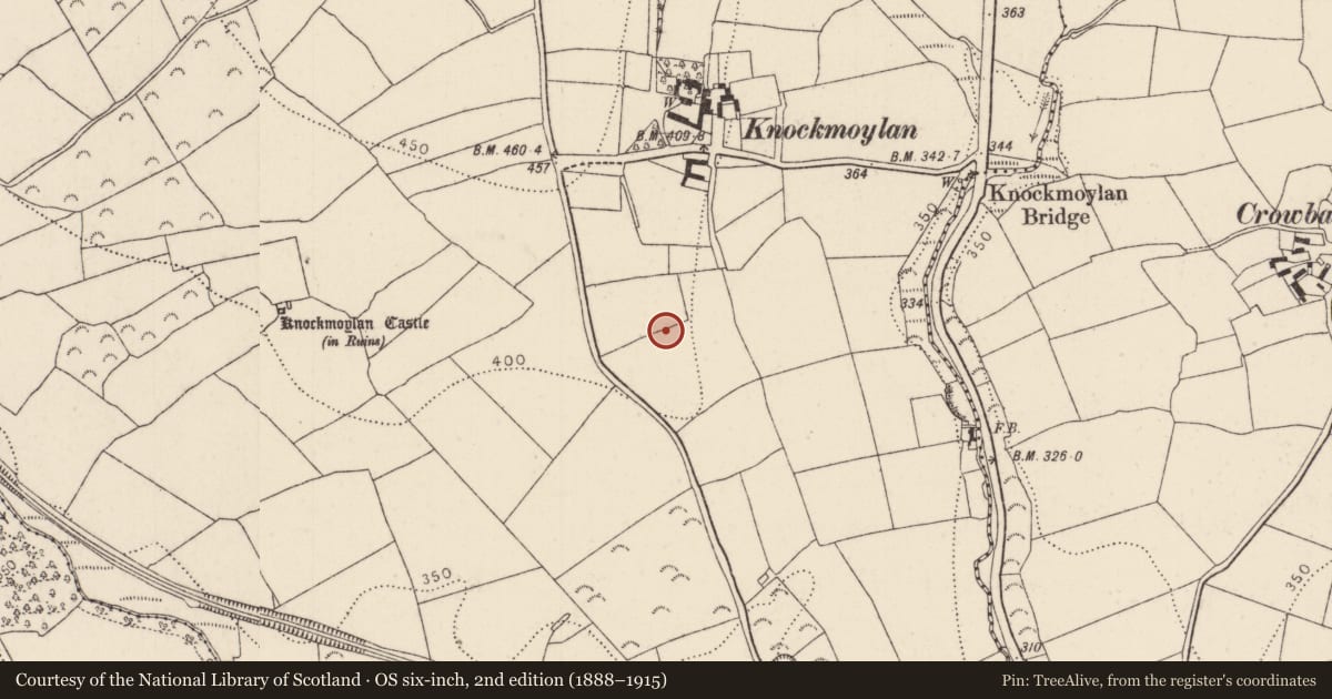 Ordnance Survey six-inch map, 2nd edition (1888–1915) covering the location of Hut site, Knockmoylan, County Kilkenny, with a pin at the register's coordinates