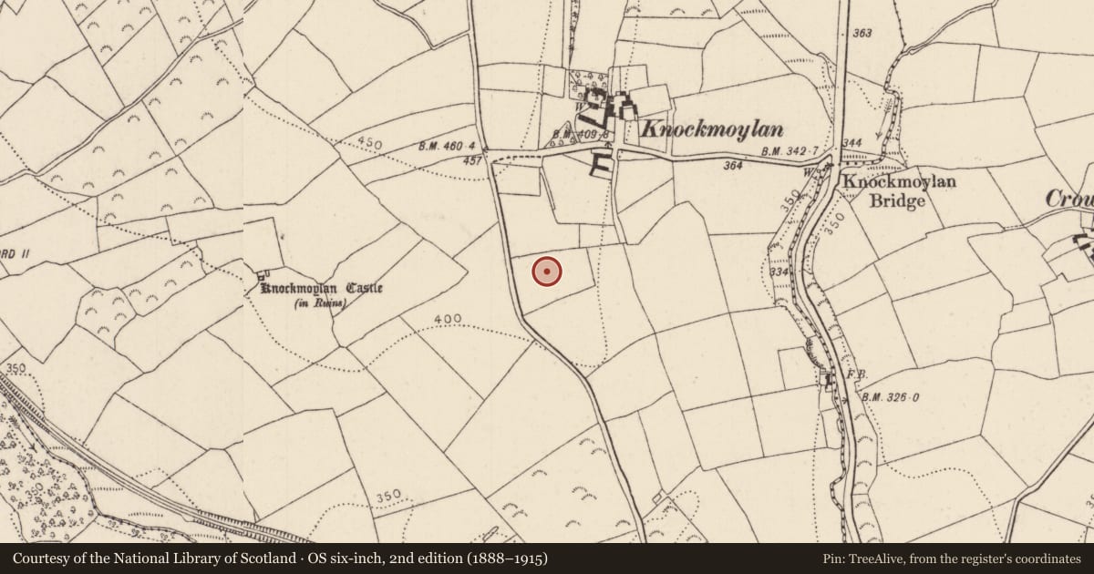 Ordnance Survey six-inch map, 2nd edition (1888–1915) covering the location of Flat cemetery, Knockmoylan, County Kilkenny, with a pin at the register's coordinates