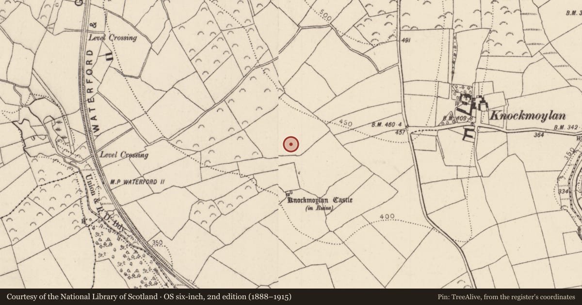 Ordnance Survey six-inch map, 2nd edition (1888–1915) covering the location of Field boundary, Knockmoylan, County Kilkenny, with a pin at the register's coordinates