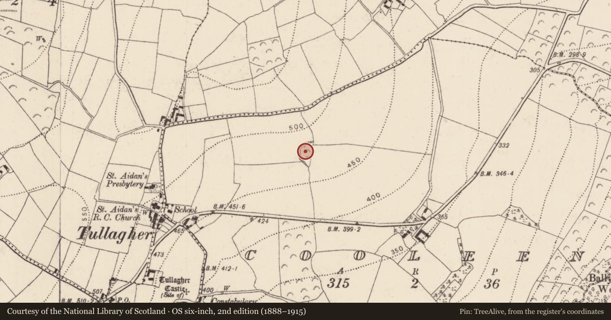 Ordnance Survey six-inch map, 2nd edition (1888–1915) covering the location of Ringfort - unclassified, Cooleen, County Kilkenny, with a pin at the register's coordinates