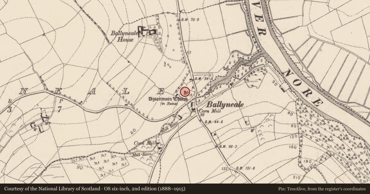 Ordnance Survey six-inch map, 2nd edition (1888–1915) covering the location of Church, Ballyneale, County Kilkenny, with a pin at the register's coordinates