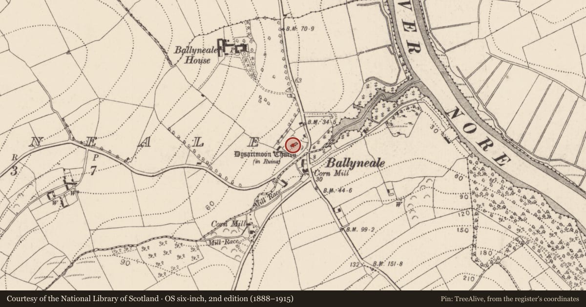 Ordnance Survey six-inch map, 2nd edition (1888–1915) covering the location of Cross (present location), Ballyneale, County Kilkenny, with a pin at the register's coordinates