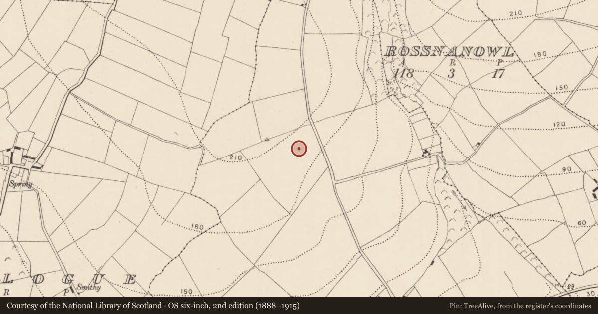 Ordnance Survey six-inch map, 2nd edition (1888–1915) covering the location of Church, Grange, County Kilkenny, with a pin at the register's coordinates