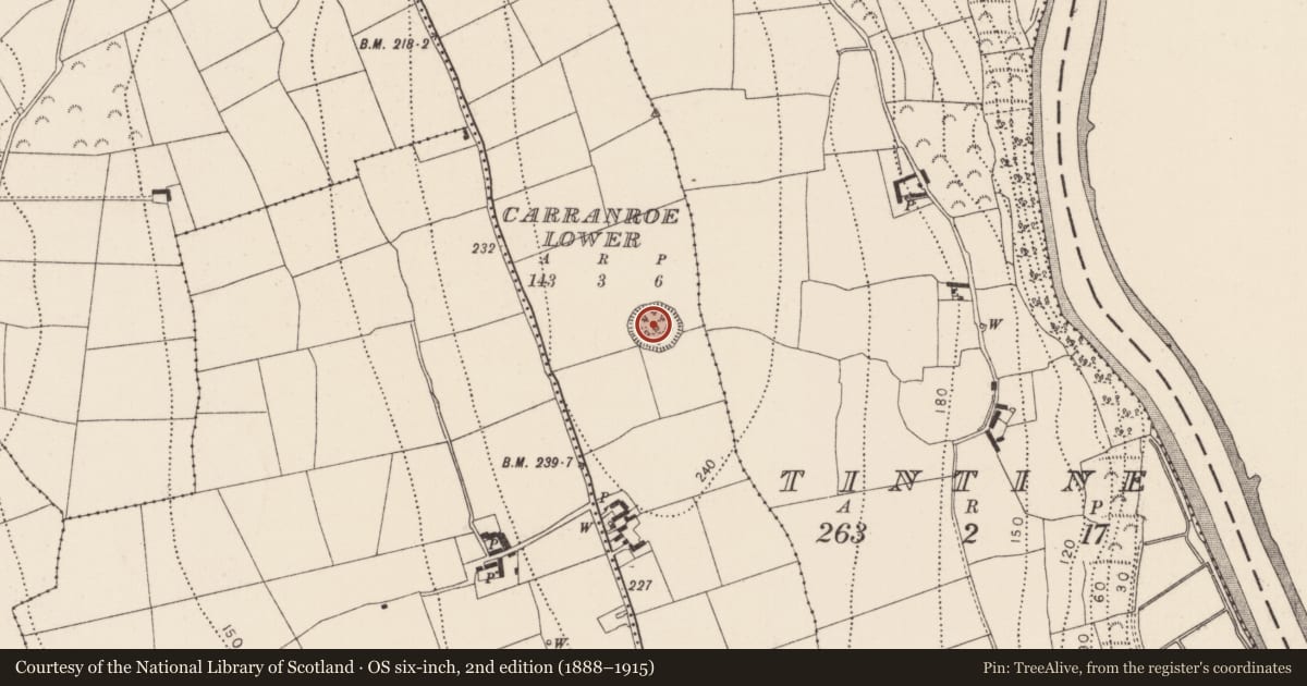 Ordnance Survey six-inch map, 2nd edition (1888–1915) covering the location of Ringfort - rath, Carranroe Lower, County Kilkenny, with a pin at the register's coordinates